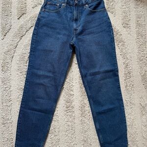 Abercrombie & Fitch Curve Love Mom Jeans